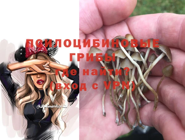 spice Киреевск