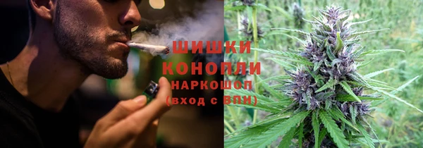 spice Киреевск