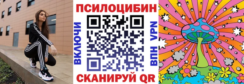 Купить закладки  Тетюши  Псилоцибиновые грибы прущие грибы 